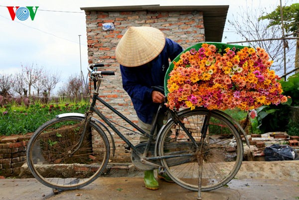 Hanoi the day before Year of Dragon - ảnh 7